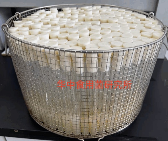 098a3bd08ad5ade6e996ffba4bf0f80b_副本_副本_副本.jpg